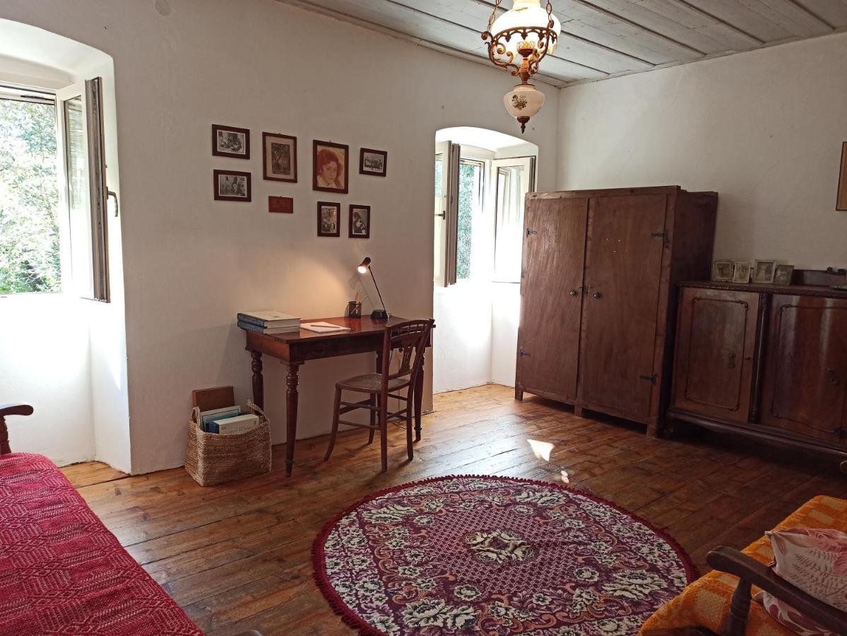 Apartment Tailors House